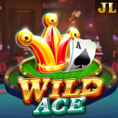 Wild Ace 999phl slot game